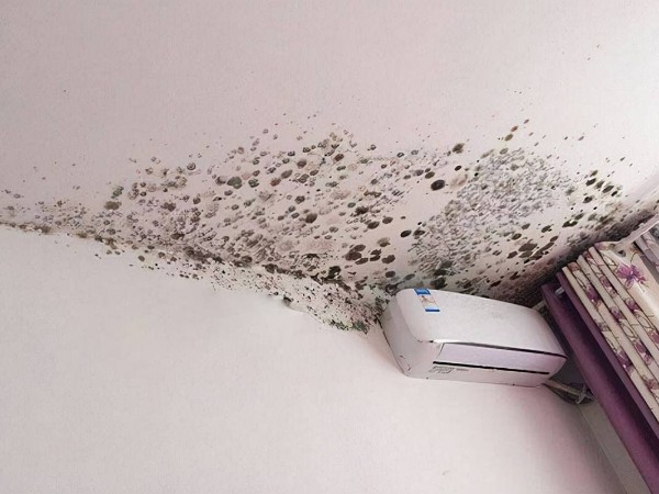 1b41422e016fffc30189a9b4b88e1494 1b41422e016fffc30189a9b4b88e1494